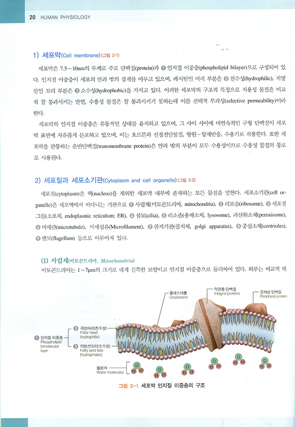 Pacific's HUMAN PHYSIOLOGY (퍼시픽 인체생리학)