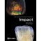 Impact-Color and Internal Shape of Anteriores  (한글판)