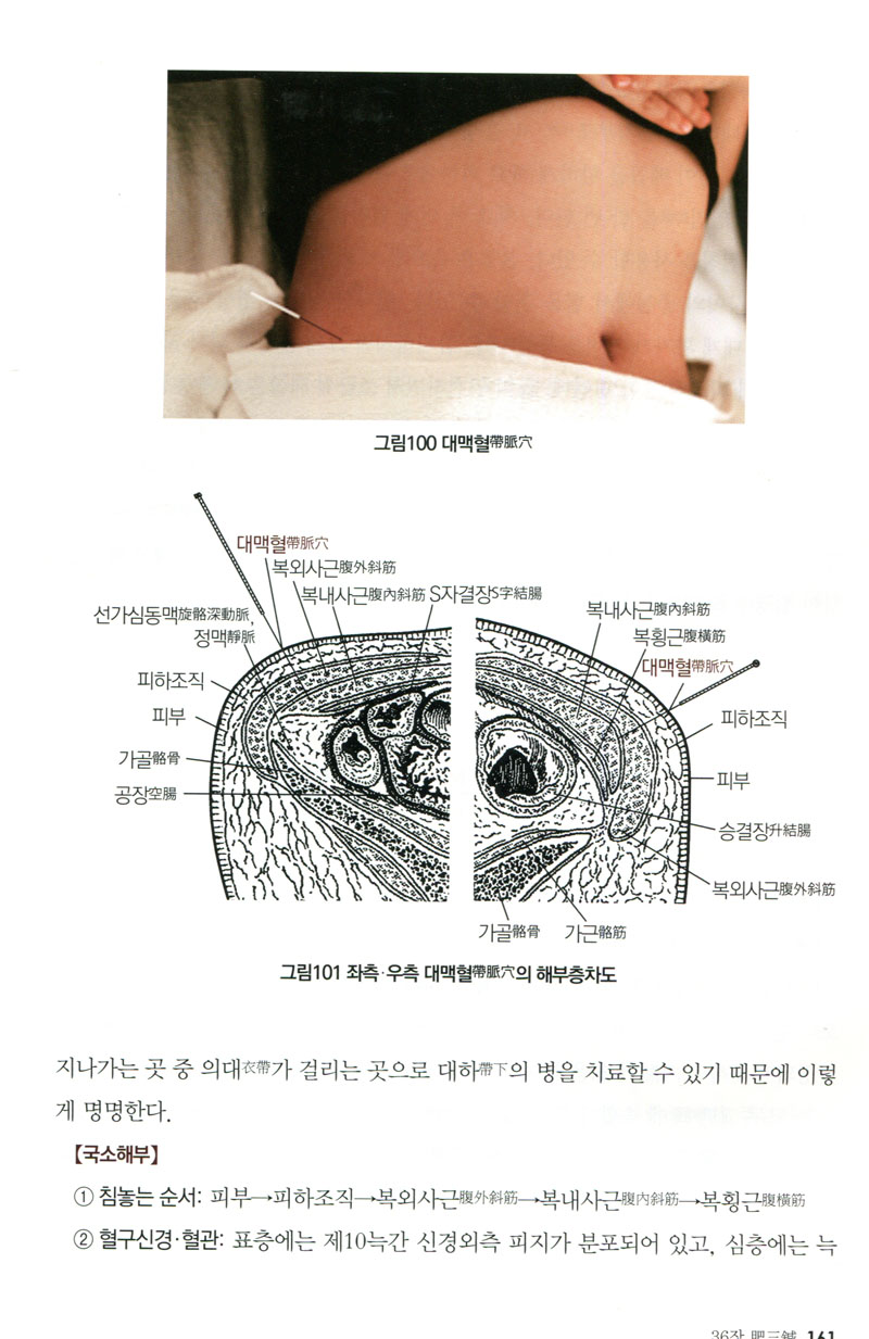 근삼침- 근서선생에게 삼침배혈법의 간명한 증상치료를 배우다