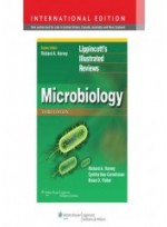 Lippincott's Illustrated Reviews: Microbiology, 3/e(IE)