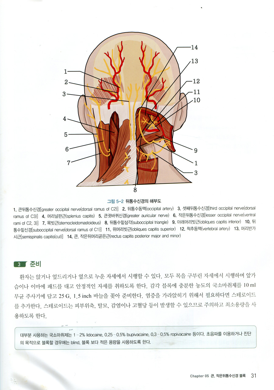 통증수기의 정석 (Keystone of Pain Intervention) (대한통증학회)