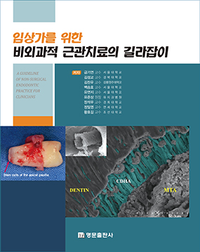 임상가를 위한 비외과적 근관치료의 길라잡이  