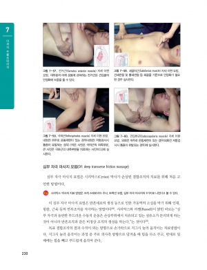 임상 프롤로테라피