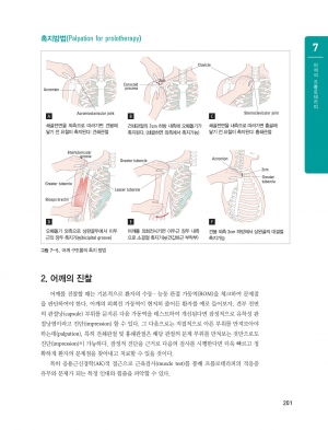 임상 프롤로테라피