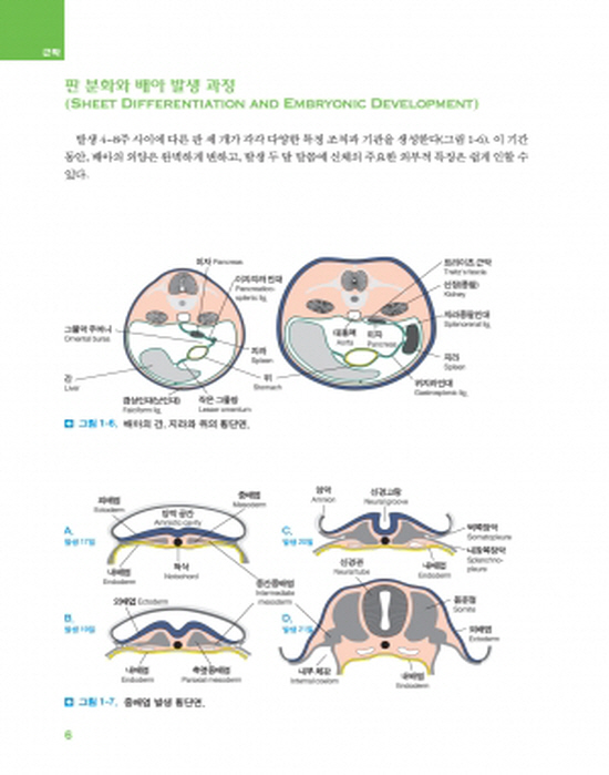 근막치료