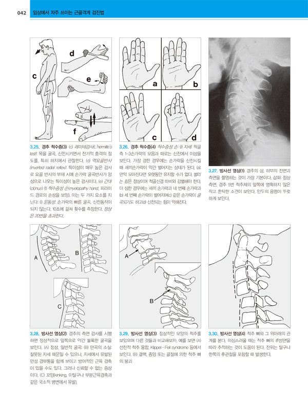 근골격계 검진법 - 임상에서 자주 쓰이는 (Clinical Orthopaedic Examination, 6/e)