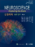 신경과학: 뇌의 탐구 4판