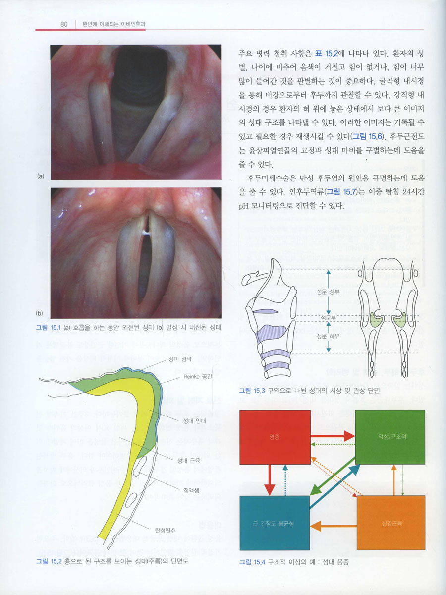 한번에 이해되는 이비인후과