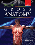Pacific Gross Anatomy(퍼시픽 Gross해부학) [3판]