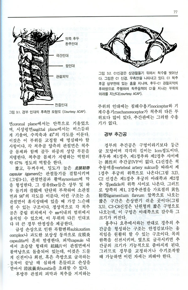 임상에서 자주 만나는 어지럼질환의 진단과 치료