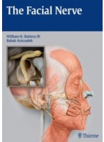 The Facial Nerve