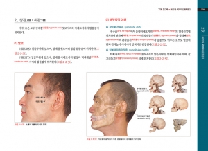 실험침구 표면해부학