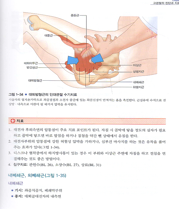 한의사를 위한 통증치료 매뉴얼 Part 2 : 하지 전신자세교정