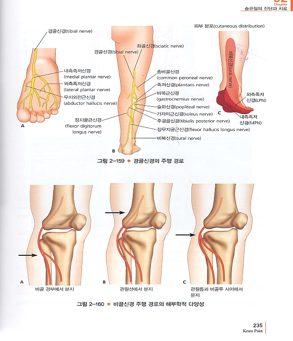 한의사를 위한 통증치료 매뉴얼 Part 2 : 하지 전신자세교정