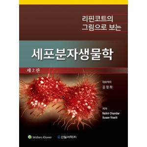 리핀코트의 그림으로 보는 세포분자생물학 (제2판)