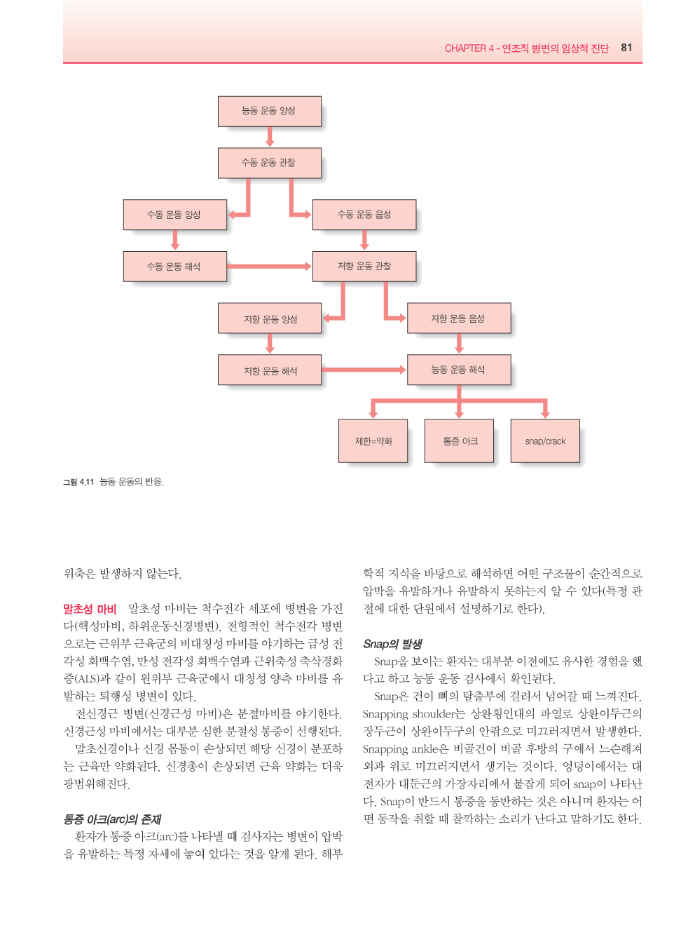 근골격계 통증의학, 2판 (2 Vol.- CD포함) 