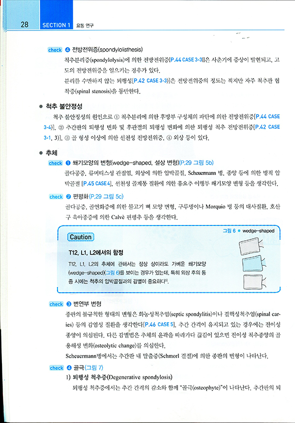 허리 치료와 역학- 맥길 박사의 단계별 허리 치료법 의사가 말해주지 못했던 건강한 척추의 비밀