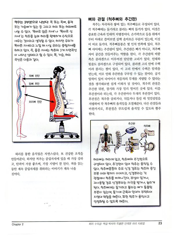 허리 치료와 역학- 맥길 박사의 단계별 허리 치료법 의사가 말해주지 못했던 건강한 척추의 비밀