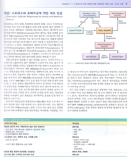 병리학(8판)-Robbins & Cotran Pathologic Basis of Disease,8/e