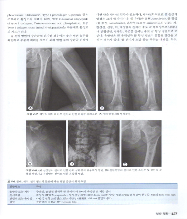 정형외과학 제7판 (2Vols)