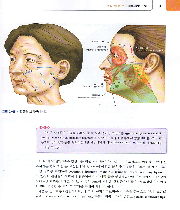 매선성형 시술매뉴얼: 침과 매선을 활용한 주름개선과 리프팅 [양장본]