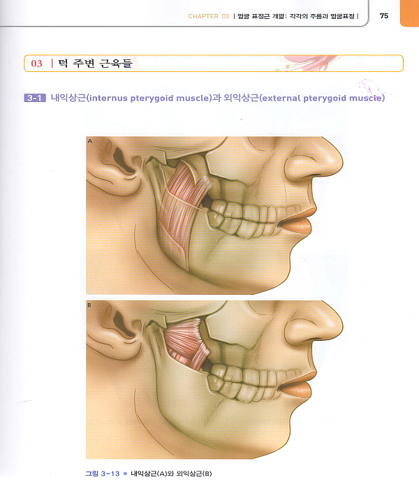 매선성형 시술매뉴얼: 침과 매선을 활용한 주름개선과 리프팅 [양장본]