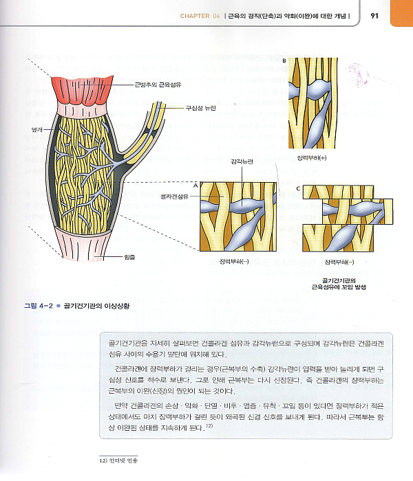 매선성형 시술매뉴얼: 침과 매선을 활용한 주름개선과 리프팅 [양장본]