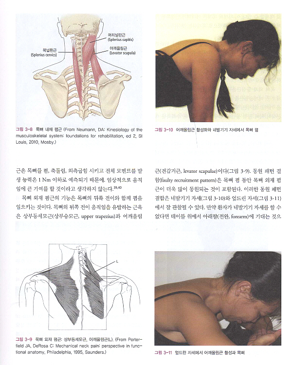 팔다리, 목뼈와 등뼈의 운동계 손상 증후군