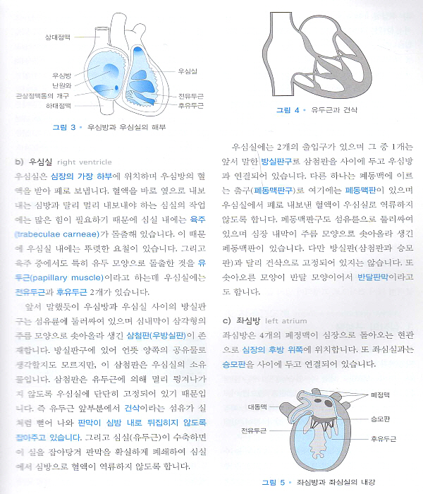 스텝내과-순환기 2