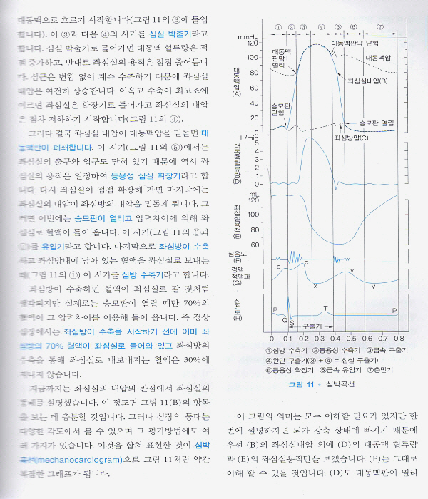 스텝내과-순환기 2