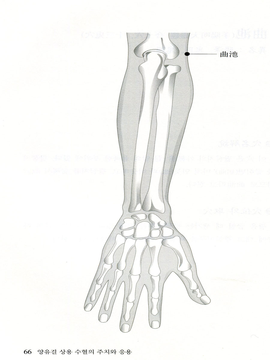 양유걸 상용 수혈의 주치와 응용