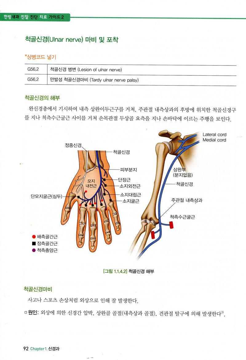 KCD한의임상을 위한 한방내과 진찰진단 치료가이드 Part2