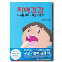 치아건강 - 치아의 구조.구강의 구조  