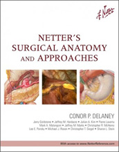 Netter's Surgical Anatomy & Approaches 