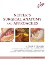 Netter's Surgical Anatomy & Approaches 