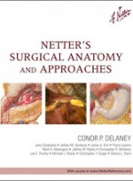 Netter's Surgical Anatomy & Approaches 