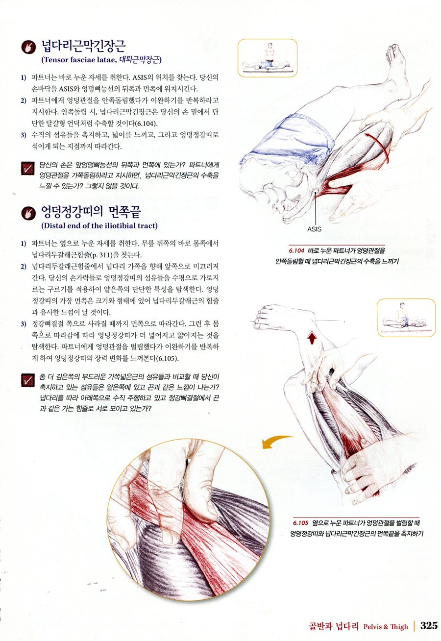 근육뼈대계통 Palpation Road Map (5판 )-손으로 근육, 뼈, 기타 조직의 위치를 찾기 위한 안내서