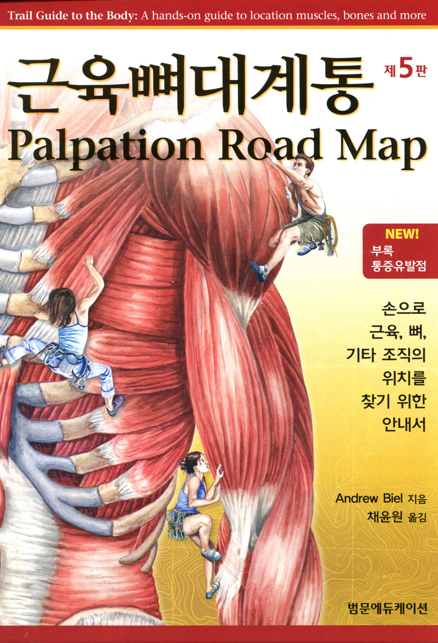 근육뼈대계통 Palpation Road Map (5판 )-손으로 근육, 뼈, 기타 조직의 위치를 찾기 위한 안내서