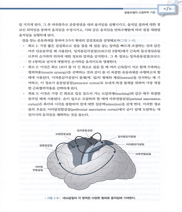 물리치료사와 작업치료사를 위한 임상신경학 3판 