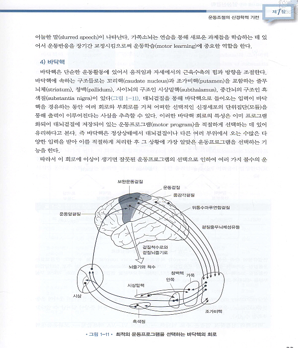 물리치료사와 작업치료사를 위한 임상신경학 3판 