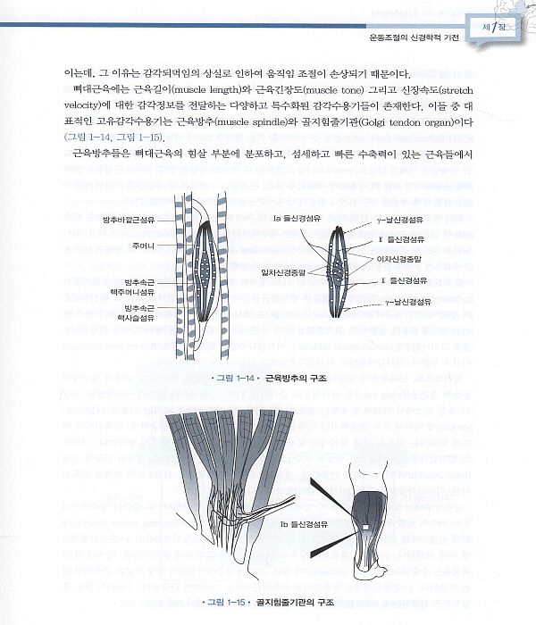 물리치료사와 작업치료사를 위한 임상신경학 3판 