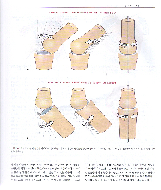 뉴만Kinesiology:근육뼈대계통의기능해부학및운동학,2판