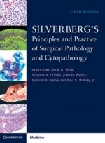 Silverberg's Principles & Practice of Surgical Pathology & Cytopathology,5/e-with Online Access(4vols)