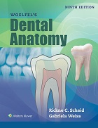 Woelfels Dental Anatomy, 9th 
