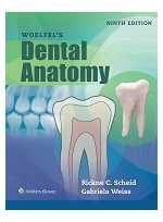 Woelfels Dental Anatomy, 9th 