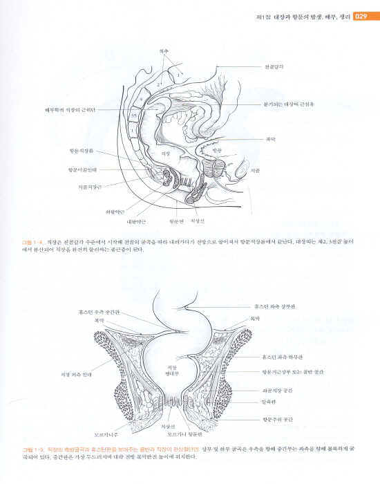 대장항문학, 4/e