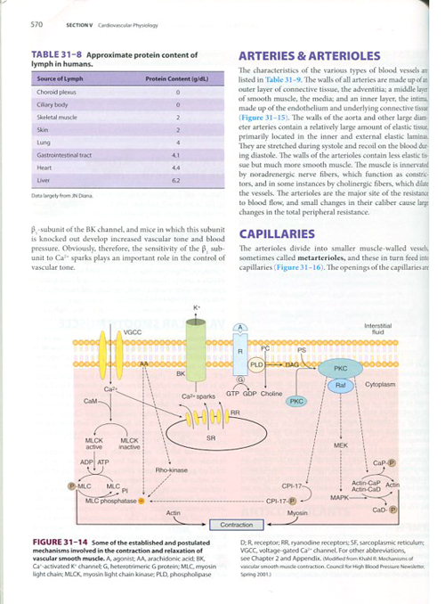 Ganong's Review of Medical Physiology, 24/e