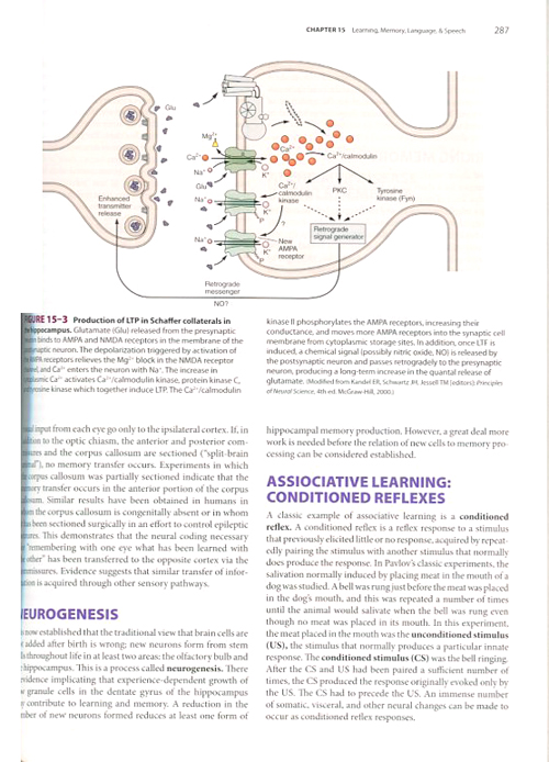 Ganong's Review of Medical Physiology, 24/e