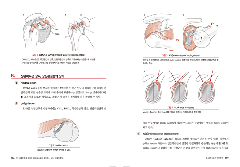 목과 어깨통증의 진단과 치료(Primary Care for Musculoskeletal Disorders : Neck and Shoulder Pain) 