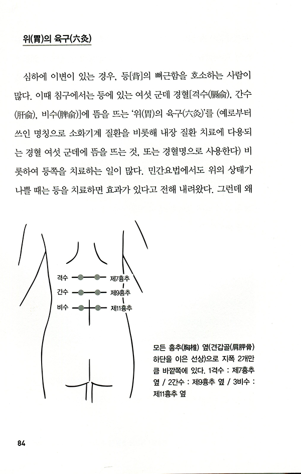 만지면 알 수 있는 복진 입문  배는 몸을 비추는 거울